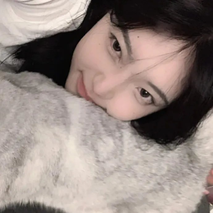 三利股份今日涨停 在线观看
